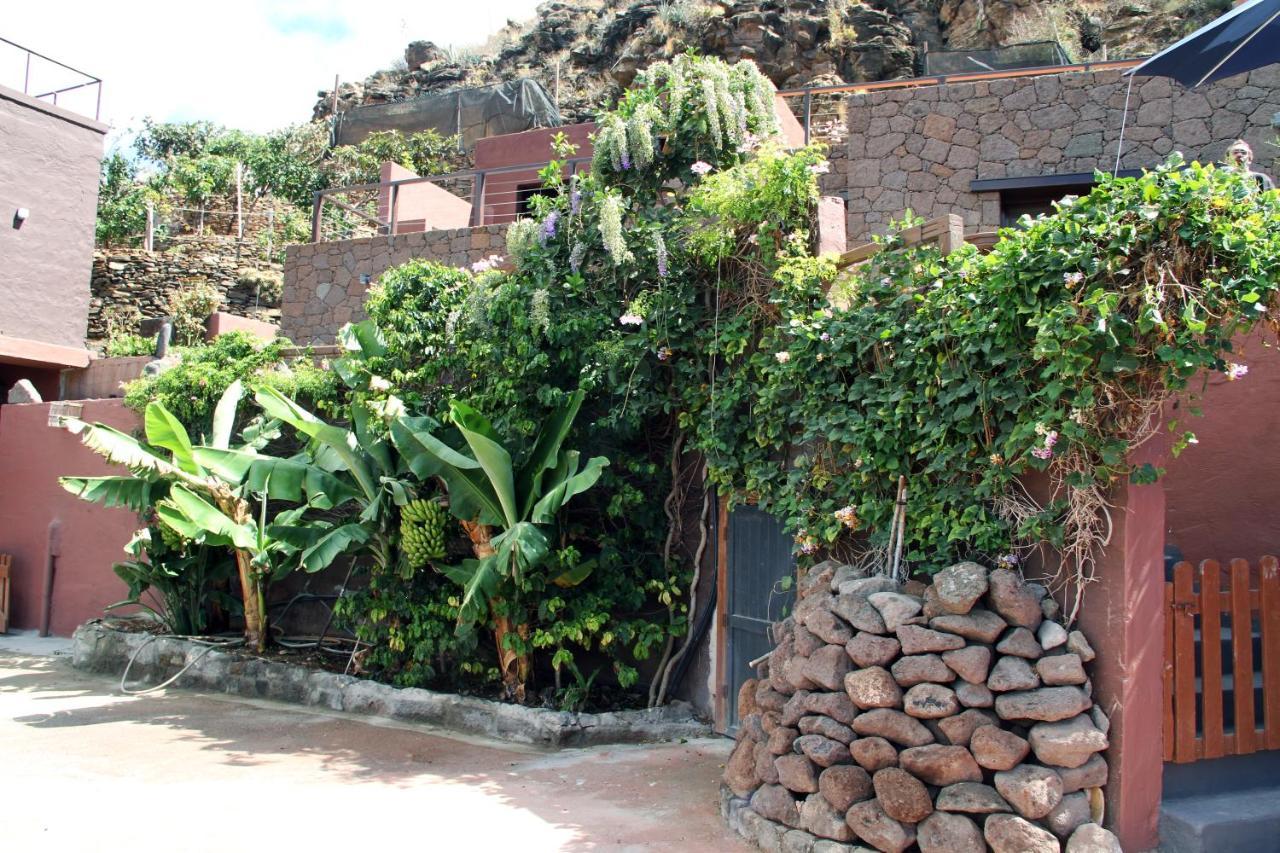 Tonono'S Village Santa Maria de Guia de Gran Canaria Екстер'єр фото