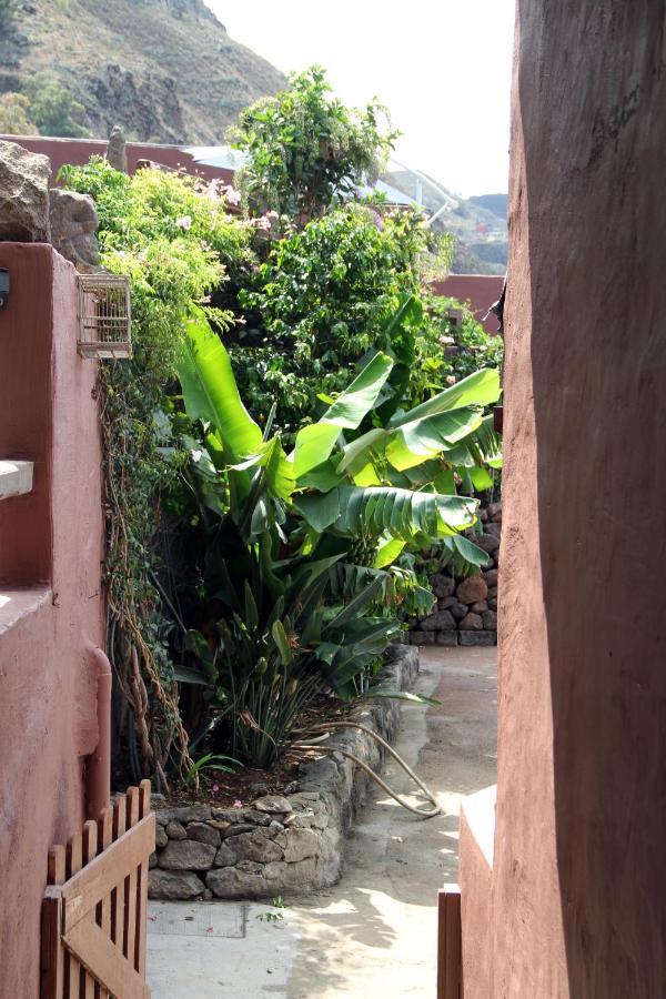Tonono'S Village Santa Maria de Guia de Gran Canaria Екстер'єр фото