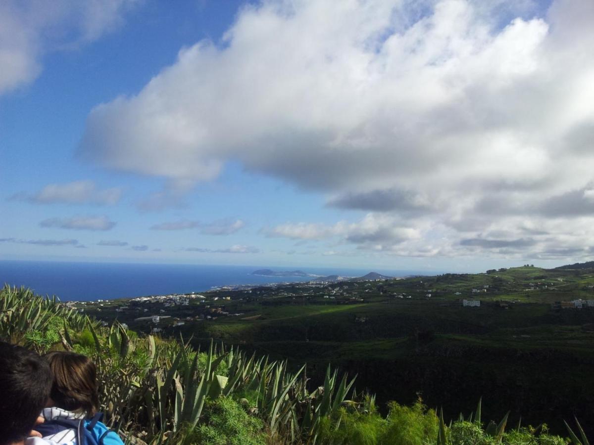 Tonono'S Village Santa Maria de Guia de Gran Canaria Екстер'єр фото