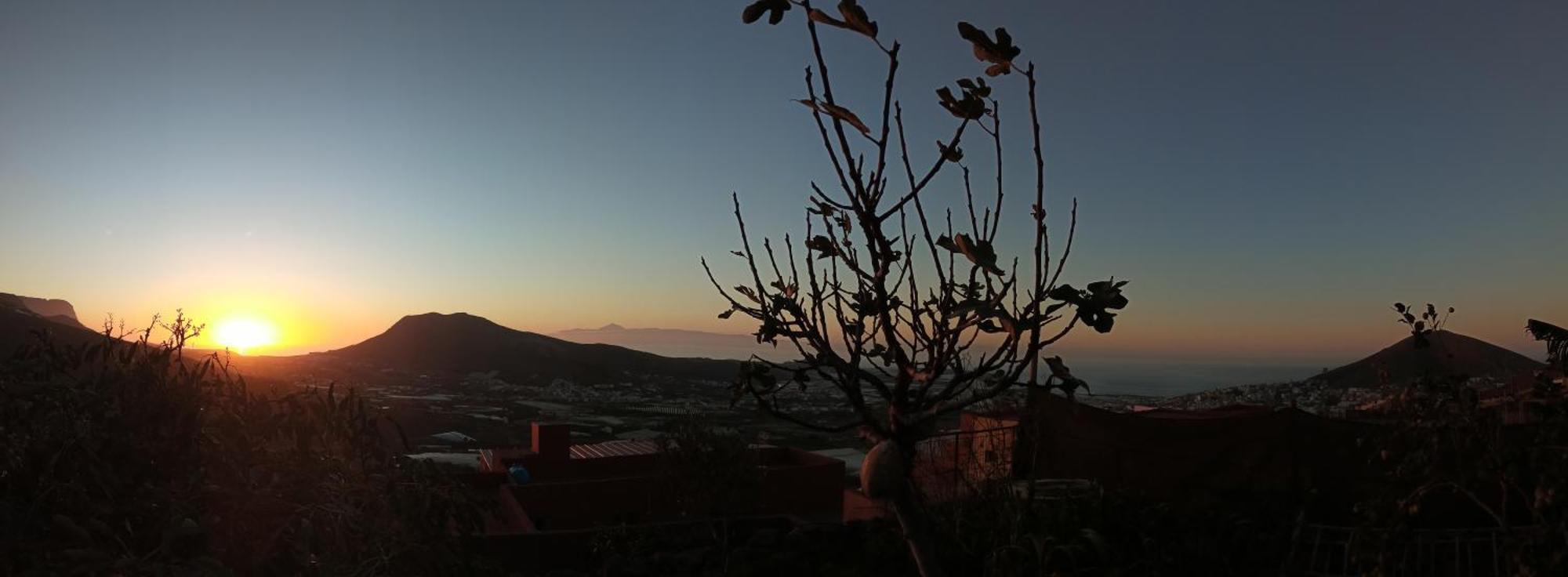Tonono'S Village Santa Maria de Guia de Gran Canaria Екстер'єр фото