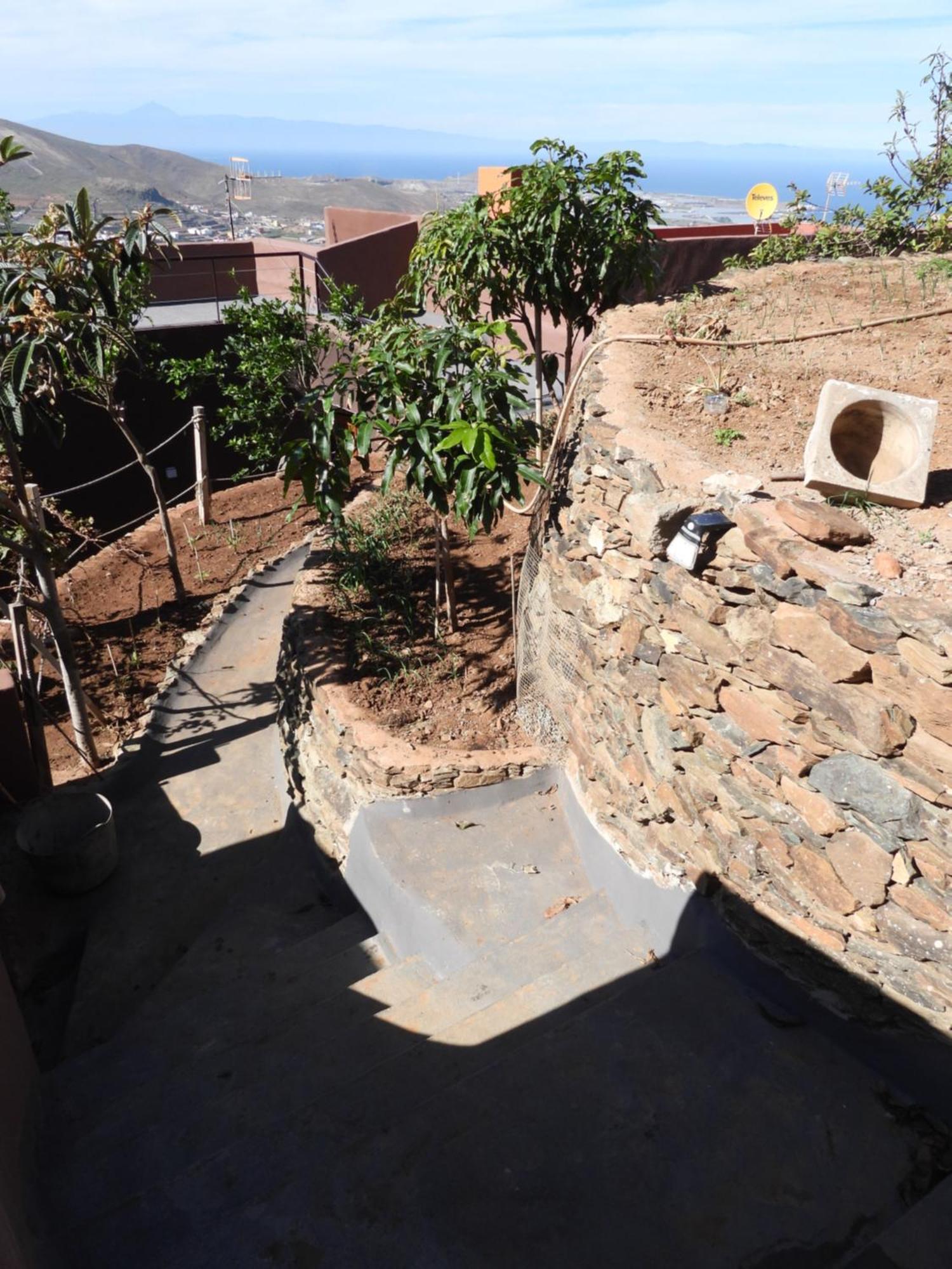 Tonono'S Village Santa Maria de Guia de Gran Canaria Екстер'єр фото