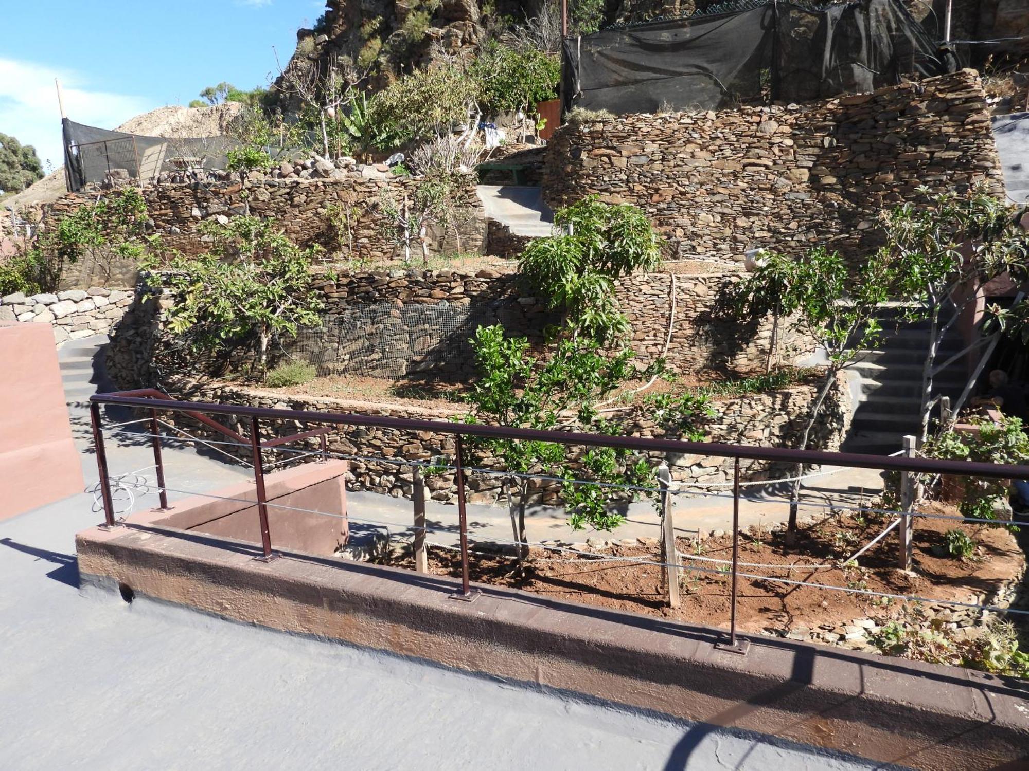Tonono'S Village Santa Maria de Guia de Gran Canaria Екстер'єр фото